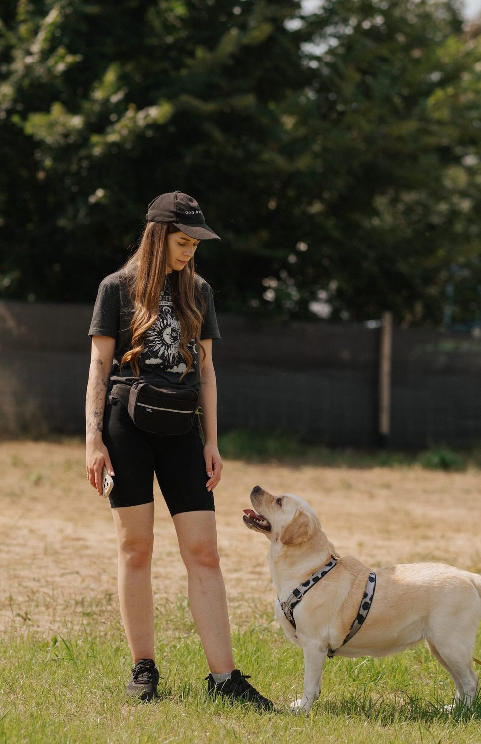 Basia podczas treningu z labradorem — komunikacja bez przemocy